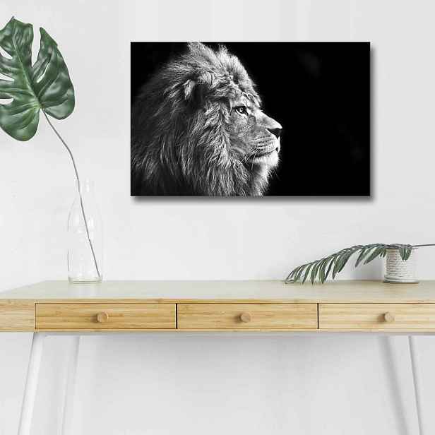 Wallity Obraz s LED osvětlením ČERNOBÍLÝ LEV 58 45 x 70 cm