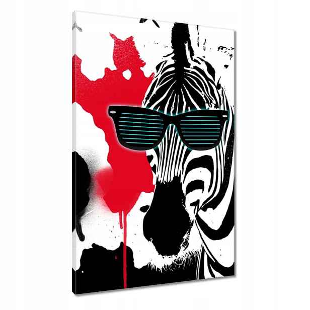 Obrazy 60x90 Zebra Funky Star