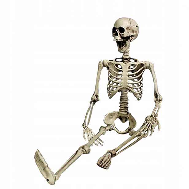 Kostra Člověka Kostlivec Velký Pohyblivé Prvky 165 CM Halloween