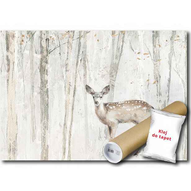Vinylová Fototapeta Les Stromy Srnka Příroda Krajina 152x104