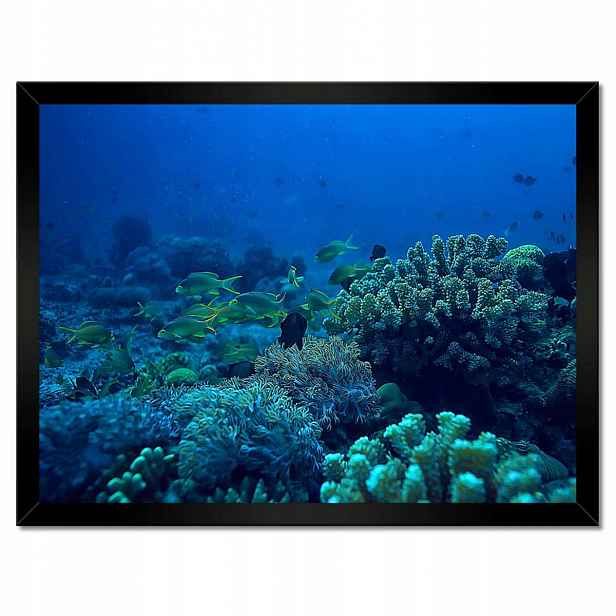 Plakáty v rámu 40x30 Laguna Korály Oceán