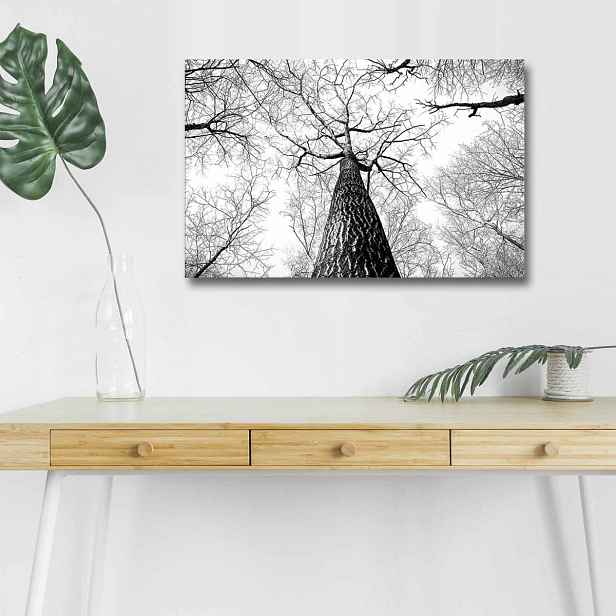 Wallity Obraz s LED osvětlením KORUNA STROMU 68 45 x 70 cm