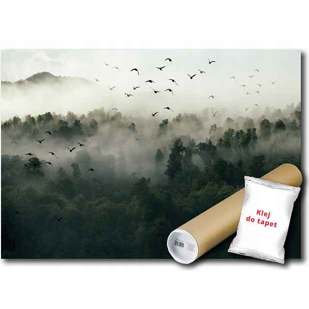 Vinylová Fototapeta Les Mlha Ptáci Hory 152x104
