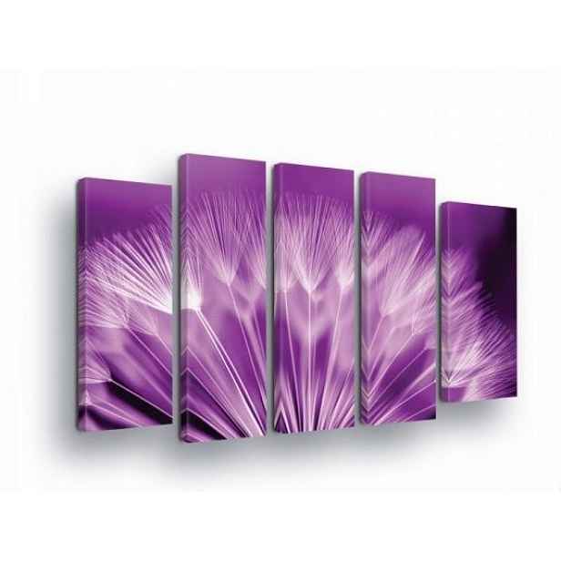 Obraz 150x100 Pampeliška purpurová fialová příroda makro detail