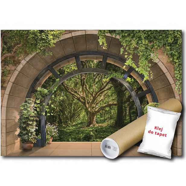 Vinylová fototapeta Les Stromy Výhled 3D 368x254