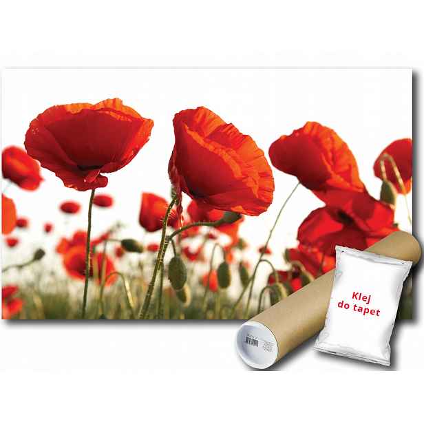 Fototapeta Máky Květiny 9E F2XL 312x219 F1639