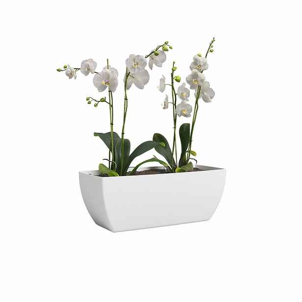 Truhlík z recyklovaného plastu 30 cm Siena – Artevasi