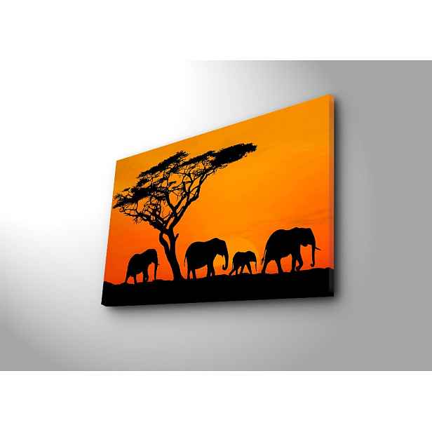 Wallity Obraz s LED osvětlením SLONÍ PUTOVÁNÍ 53 45 x 70 cm