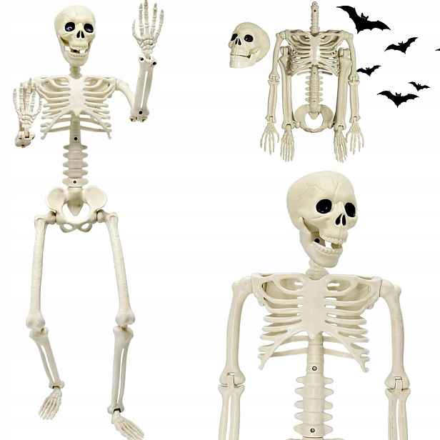 94 CM Kostra Člověka Kostra Kostlivec Lebka Dekorace Na Halloween