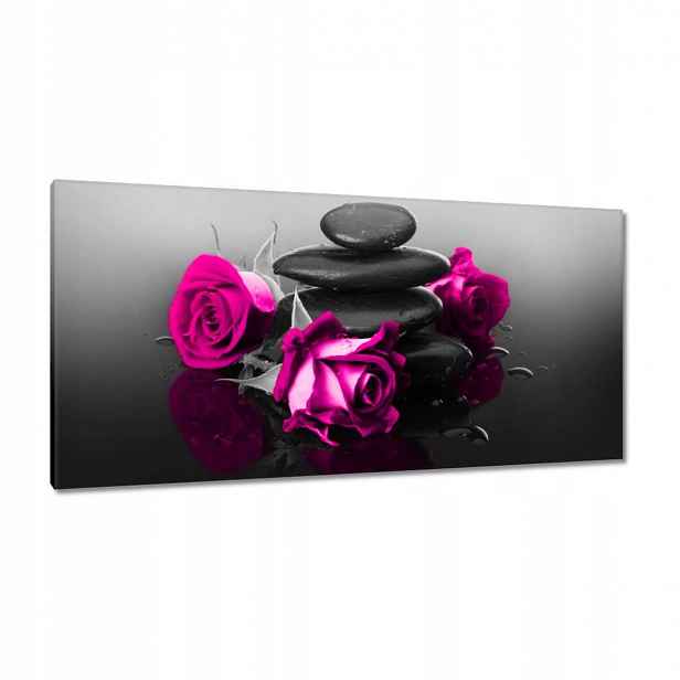 Obrazy 115x55 Růžová růže Spa Wellness