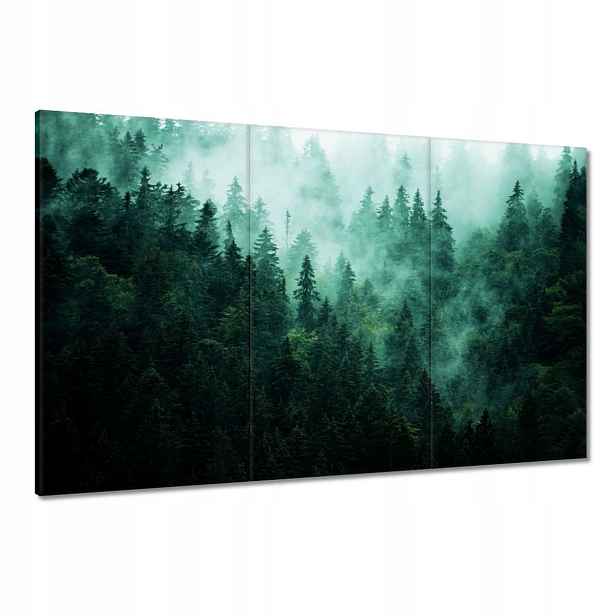 Obrazy 120x80 Les Mlha Krajina Cestování