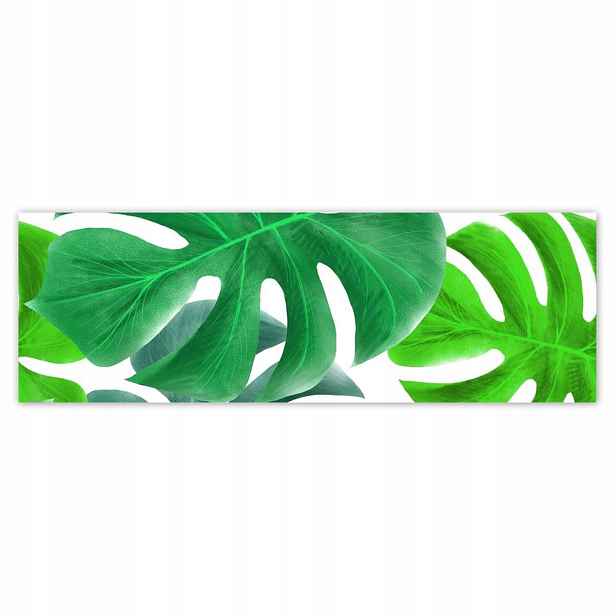 Plakáty 200x66 Listy Monstery Tropiky