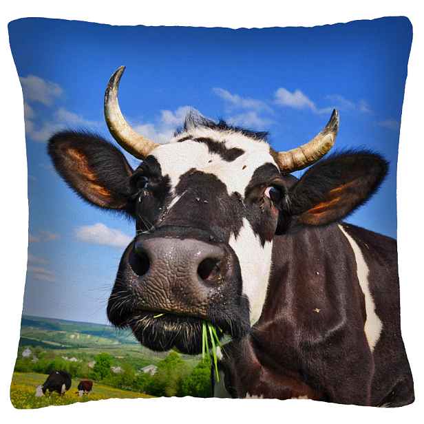 Povlak na polštář ANIMAL 16 - KRÁVA  Mybesthome 40x40 cm
