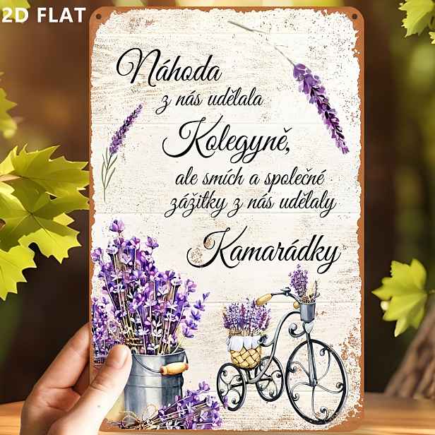 TEMU 2D plochá cedule - Vintage kovová cedule v 2D plochém , o rozměrech 30,48 x 20,32 cm, ideální pro dekoraci stěn, vylepšení garáží a skvělý dárek