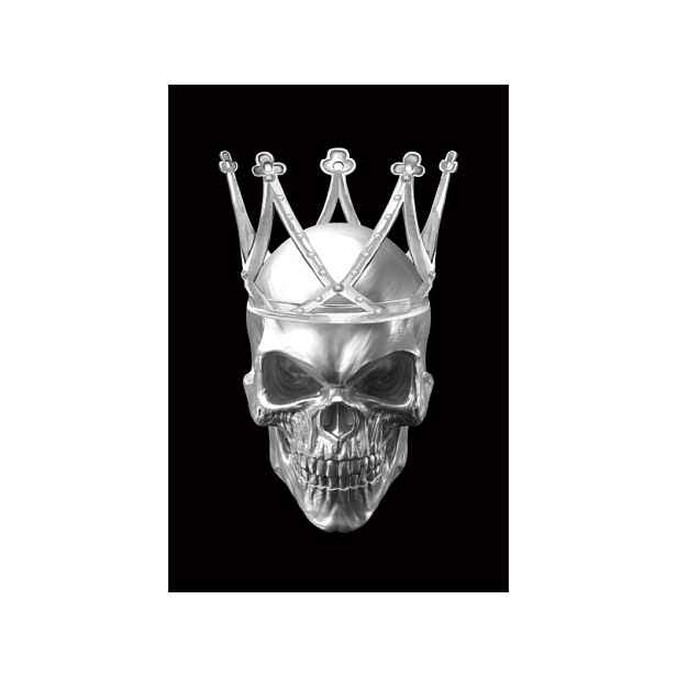 Signal Obraz Skull 80x120 černý/stříbrný
