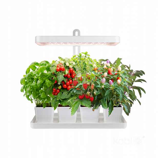 Led lampa Pro Růst Rostlin 20W regulace Timer bílá pro pěstování adaptér