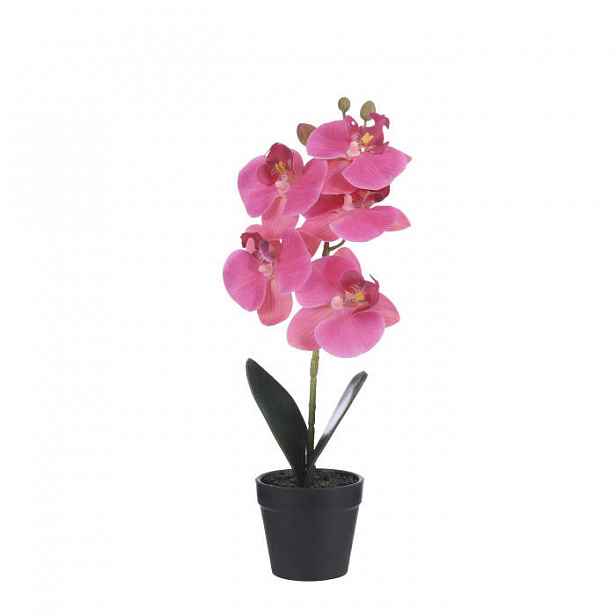 Phalaenopsis hrnkový umělý růžový 34cm
