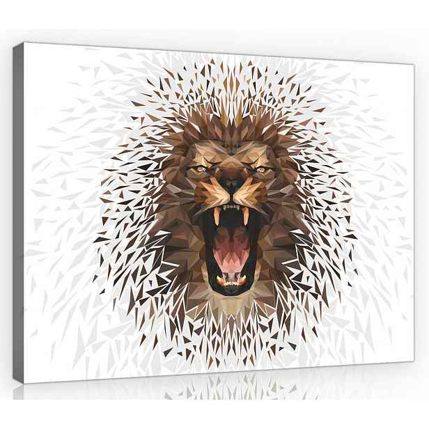 Obraz Na Plátně Canvas 70x50 Lev Řev Grafika