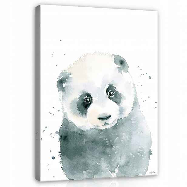 Obraz Na Plátně Canvas 80x120 Medvídek Panda Medvídek