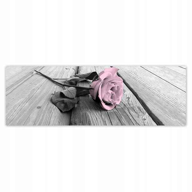 Plakáty 200x66 Pudrová růžová Old pink Rose