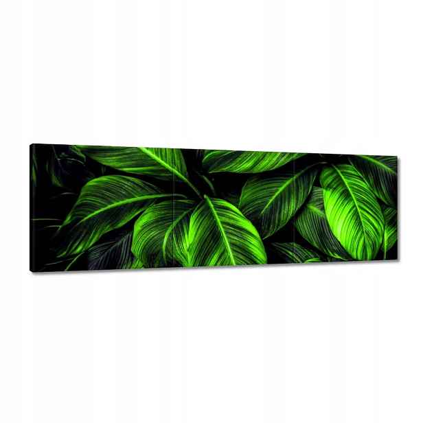Obrazy 120x40 Zelené listy