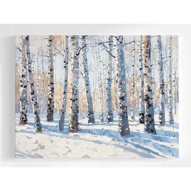 Plakát Krajina Les Park Stromy Břízy Zima Sníh 100x75