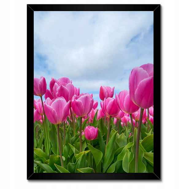 Plakáty v rámu 30x40 Tulipány Květiny