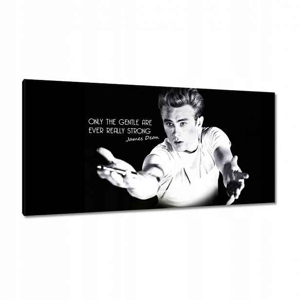 Obrazy 115x55 James Dean