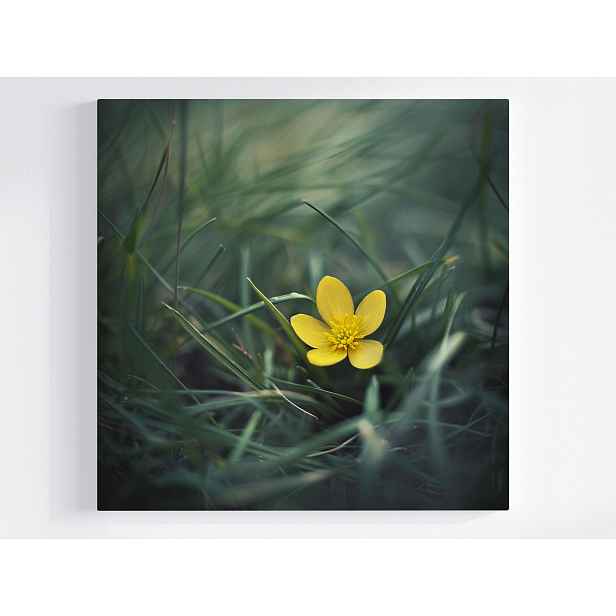 Obraz Na Plátně Canvas Zahrada Louka Tráva Žlutý Květ Jaro Příroda 50x50