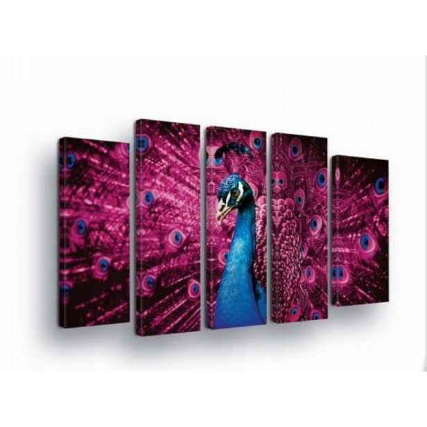 Obraz 150x100 Páv paví pero exotika dekorace stěn pták polyptych fialový