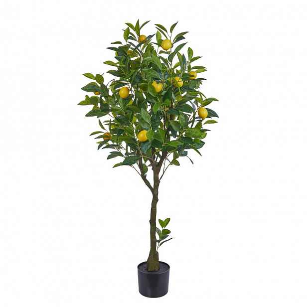 Butlers FLORISTA Citroník v květináči 115 cm