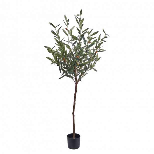 Butlers FLORISTA Olivovník v květináči 120 cm