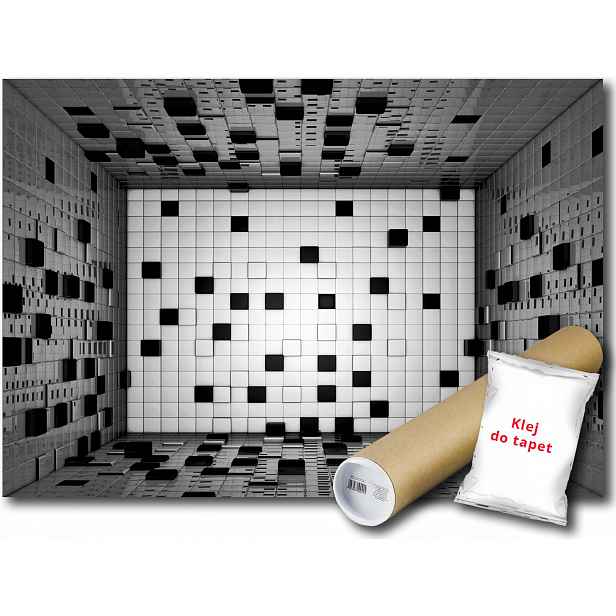 Fototapeta Čtverec Vzor 3D 10B F3XL 416x254 F2582