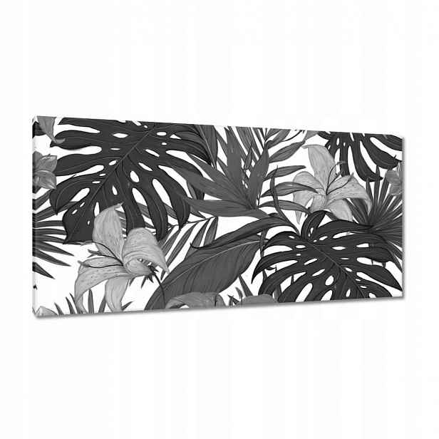 Obrazy 115x55 Černobílá monstera