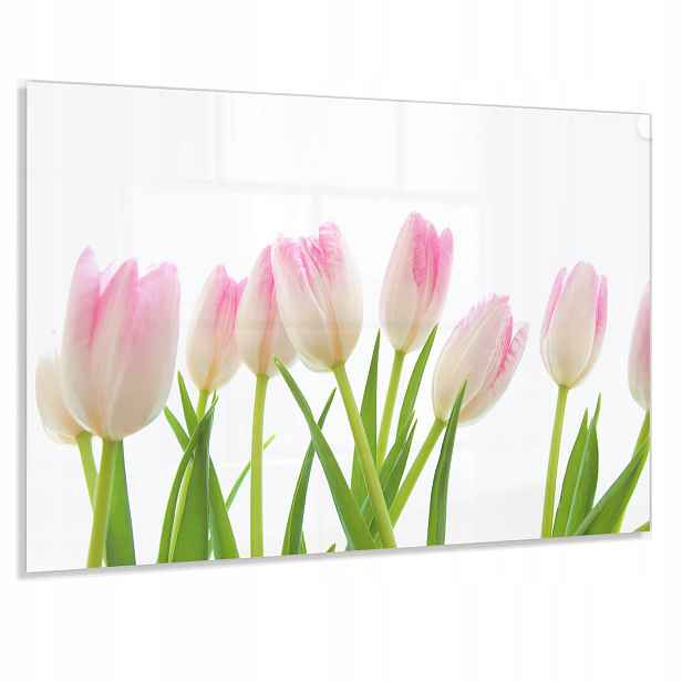 Tvrzený Panel 100x60cm 4mm Do Kuchyně Lacobel Dekorativní Ochranný