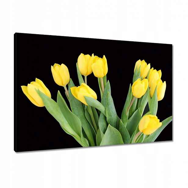 Obrazy 90x60 Žluté tulipány