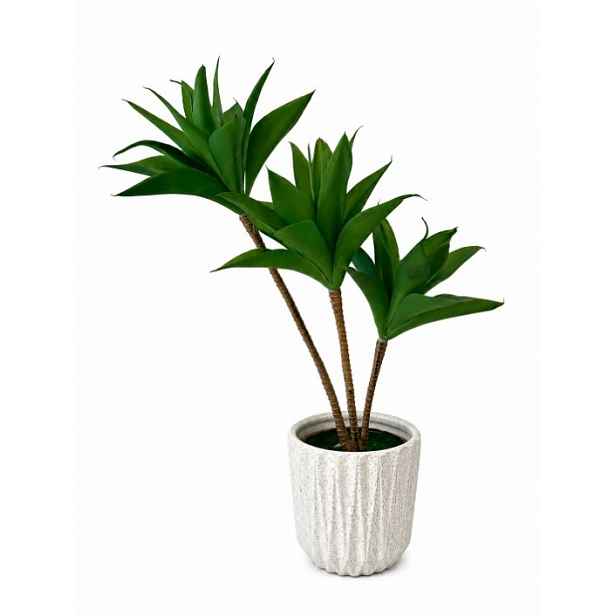 Umělá dracaena Compacta sukulent 55 cm