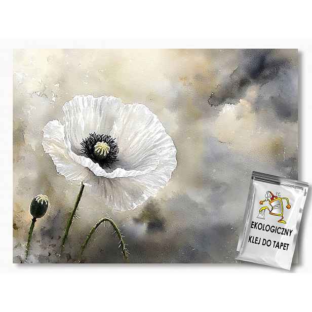 Fototapeta Flizelina Příroda Rostlinnost Květ Bílý Mák Boho 416x254 130g