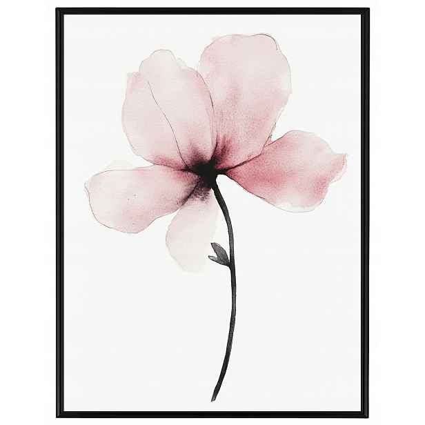 Plakát Rámeček Hliník Akvarel Příroda Zahrada Květ Růžový Magnolie 60x80