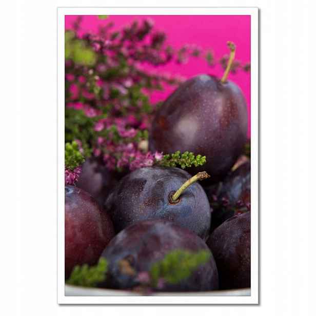 Plakáty v rámu 40x60 Švestky maďarské
