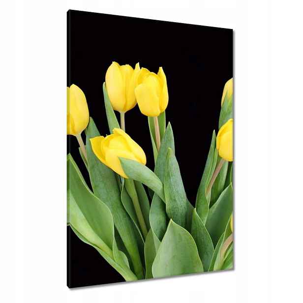 Obrazy 70x100 Žluté tulipány