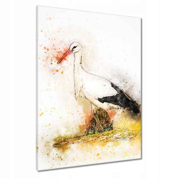 Obrazy 60x80 Čáp