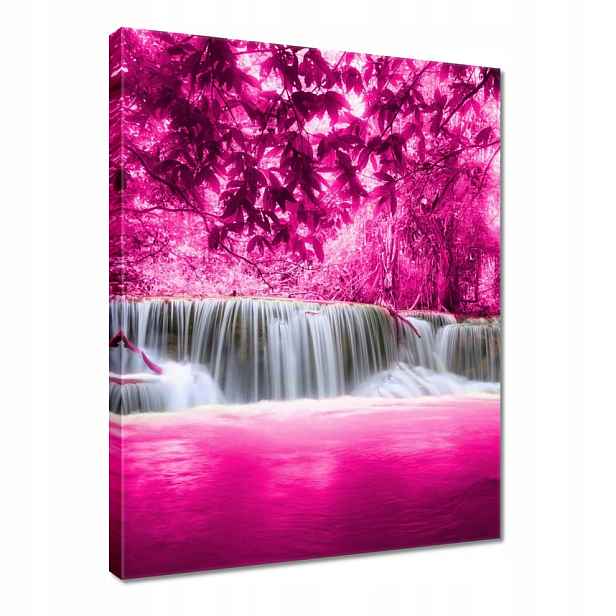 Obraz 60x80 Růžový vodopád