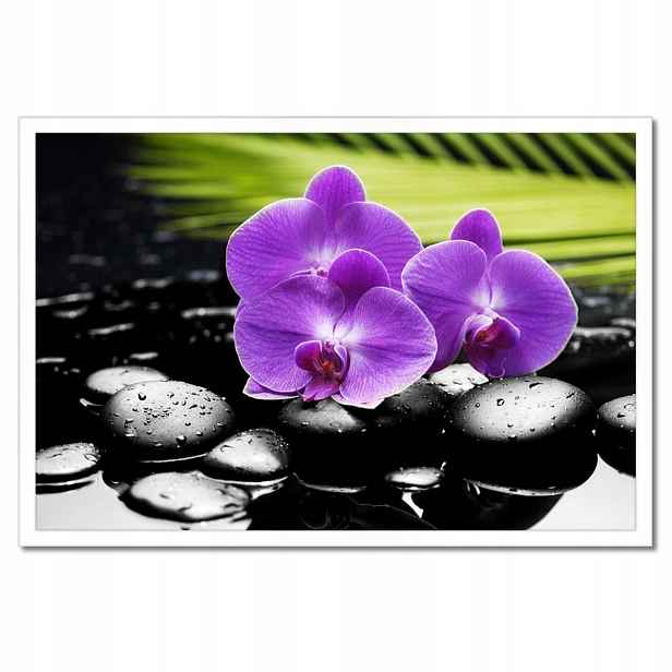 Plakáty v rámu 60x40 Fialové orchideje