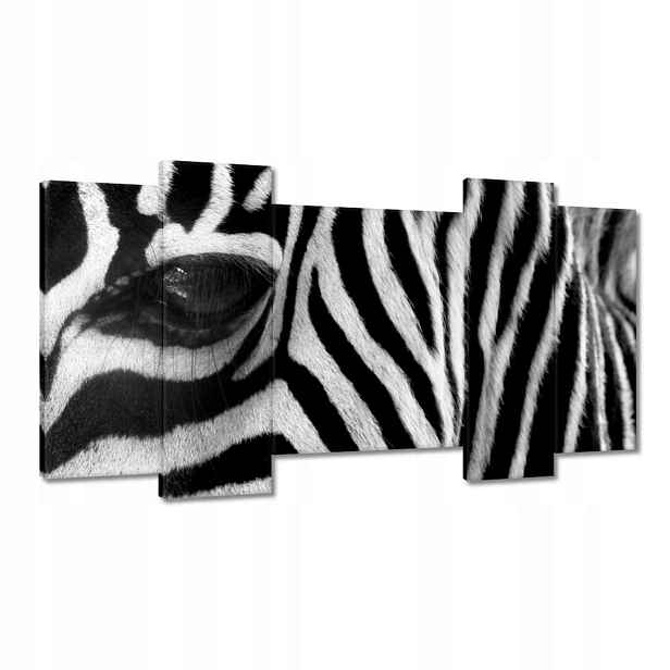 Obrazy 120x65 Černobílé pruhy Zebra