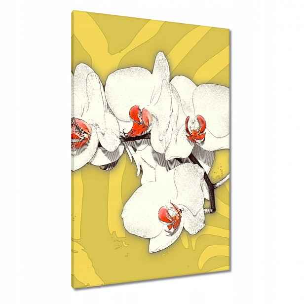 Obrazy 80x120 Orchideje Květiny na žlutém pozadí