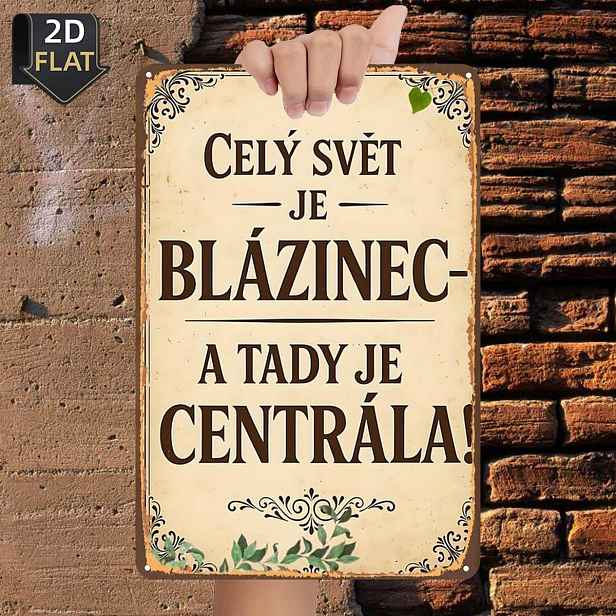 TEMU 2D Plochá, 2D Plochá 1 ks, Celý Svět Je Šílený — a Tady Je Ústředí!, Plechová Plechová Cedule, Velikost (8"x12"/20cm*30cm), Dekorativní
