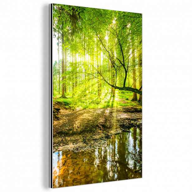 MuchoWow KOVOVÝ OBRAZ Les - Krajina - Voda - Stromy - Slunce - Zeleň - Příroda 60x90 cm