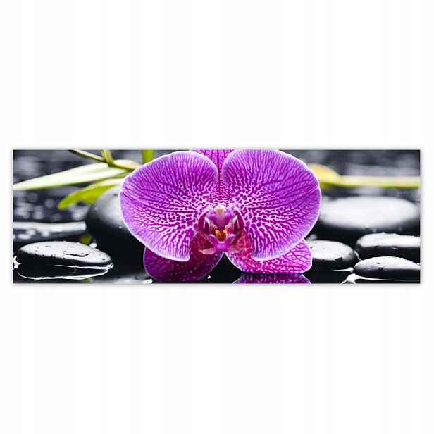 Plakáty 200x66 Fialová orchidej
