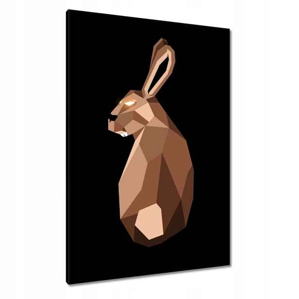 Obrazy 70x100 Zajíček na černém pozadí